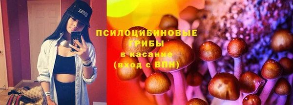 индика Алексин
