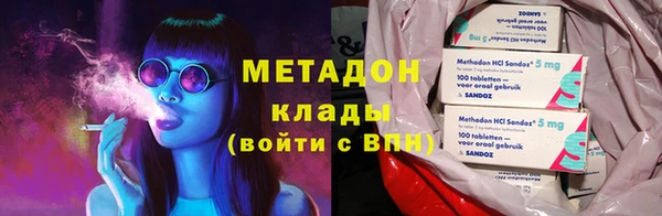индика Алексин