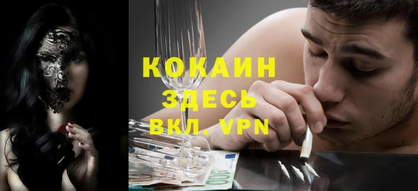 стаф Алзамай