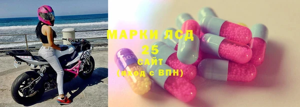 стаф Алзамай