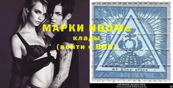 индика Алексин