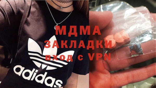 стаф Алзамай