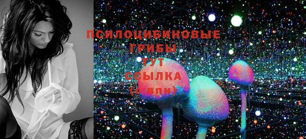 индика Алексин