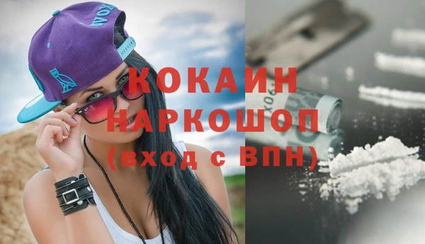 стаф Алзамай