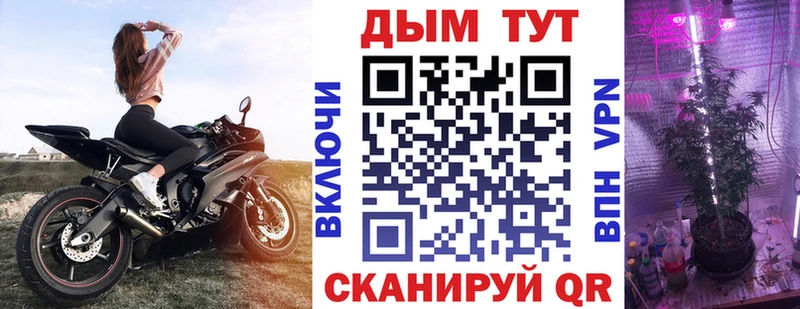 Каннабис планчик  OMG зеркало  Якутск  купить  